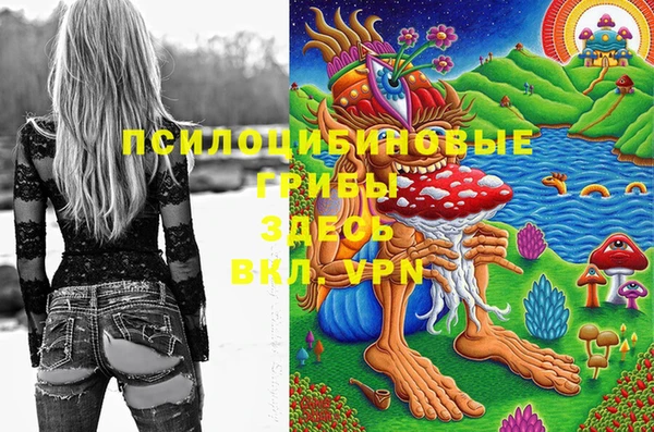 кокаин колумбия Заводоуковск
