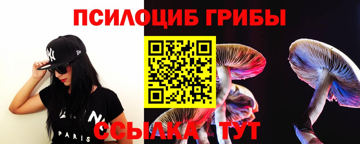 Соль-Илецк  Галлюциногенные грибы ЛСД  Вход с VPN 